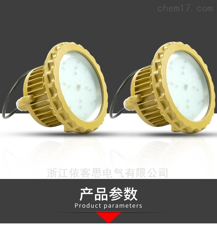 LED防爆路道灯80W90W100W120W照明路灯