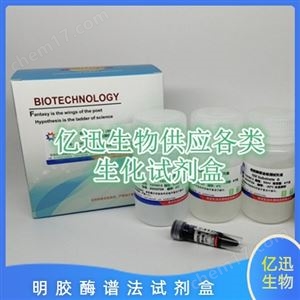 明胶酶谱试剂盒