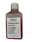 胎牛血清（Fetal Bovine Serum） Scitecher