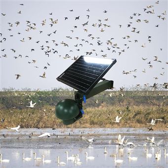 OSEN廣東濕地公園鳥(niǎo)類(lèi)種群AI聲紋識(shí)別采集系統(tǒng)