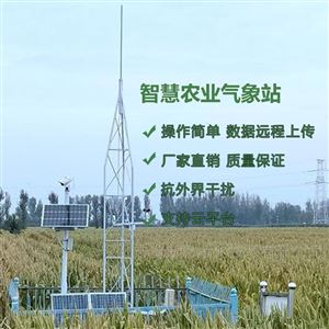 OSEN-QX新疆蔬菜種植管理小氣候自動監測設備