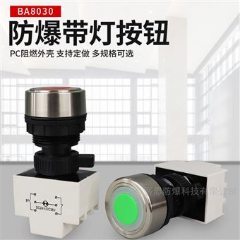 BA8060(8050)防爆带灯不锈钢控制按钮灯