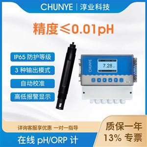 W8506淳業在線PH/ORP控制器