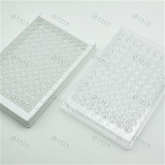 上海晶安氨基化酶标板/表面氨基修饰96孔板