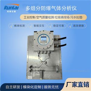 RL-E500Ex隔爆多参数气体分析仪