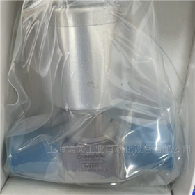 SWAGELOK世偉洛克隔膜閥6LVV-DPFR4-P-C原裝