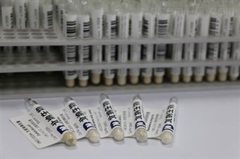 BNCC336632荧光假单胞菌-BNCC菌株