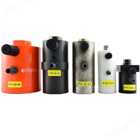 德国Netter Vibration NEG 5060 振动器