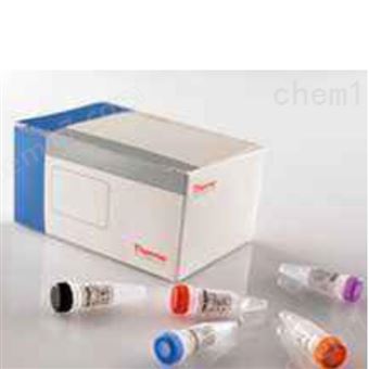 尼帕病毒（NIPAH）荧光PCR核酸检测试剂盒