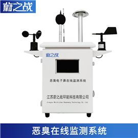 WZZ-02G【固定源】恶臭气体在线监测系统