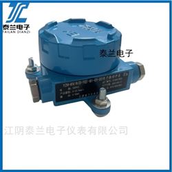 電子振動(dòng)開關(guān)YZH-KV-A5-B2-C1-D3 江陰廠家