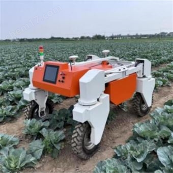 大田高地巡检除草机器人