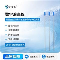 WX-LG1001米浪高儀