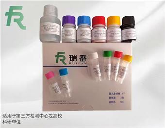 兔子脂聯(lián)素elisa試劑盒