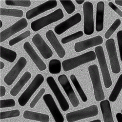 链霉亲和素修饰金纳米棒