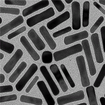 鏈霉親和素修飾金納米棒