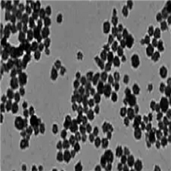 CaO2 NPs‌，过氧化钙纳米颗粒