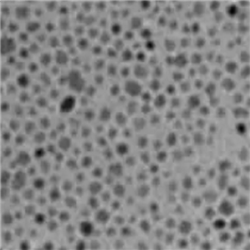 CeO2 NPs，氧化铈纳米颗粒