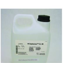 Sepharose CL-4B凝胶过滤层析填料