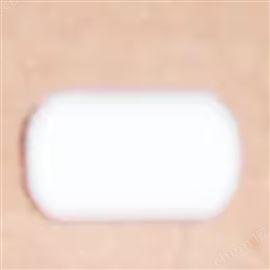 賽默飛Komet 攪拌棒50087924