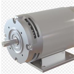 德國(guó)AMER永磁電機(jī)MP系列