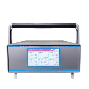 IGA1000便攜沼氣檢測儀