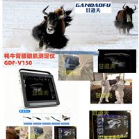牦牛背膘眼肌測(cè)定儀價(jià)格牦牛用B超廠(chǎng)家報(bào)價(jià)