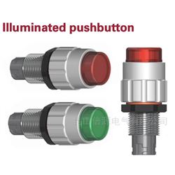 EMPXS119 -EMPXL119 --EMPXM119 Illuminated pushbutton
