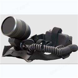 EEX-1000美国SP紫外线头灯