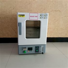 智能通氮干燥箱