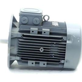 TE Q3H FA 100 L4DElmot-Schafer三相異步電機 法蘭安裝