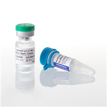 Trypsin/Lys-C 混合酶，质谱级
