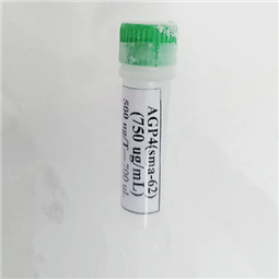 抗聚乙二醇單克隆抗體（IgG型）