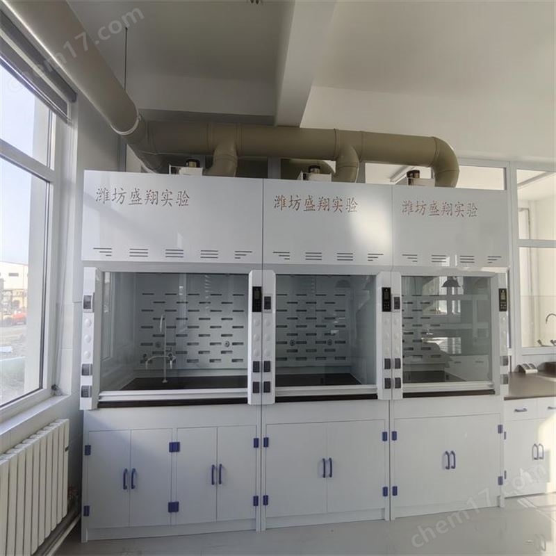煙臺實(shí)驗(yàn)室PP通風(fēng)櫥耐酸堿通風(fēng)柜 盛翔