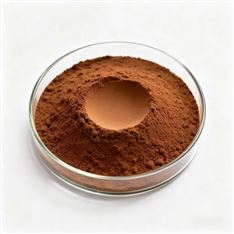 屬離子交換樹脂A-21