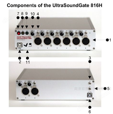 德國Avisoft八通道動物超聲聲譜錄制系統(tǒng)