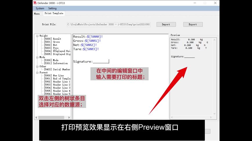 奥豪斯Defender 3000 电子台秤 D33_打印设置