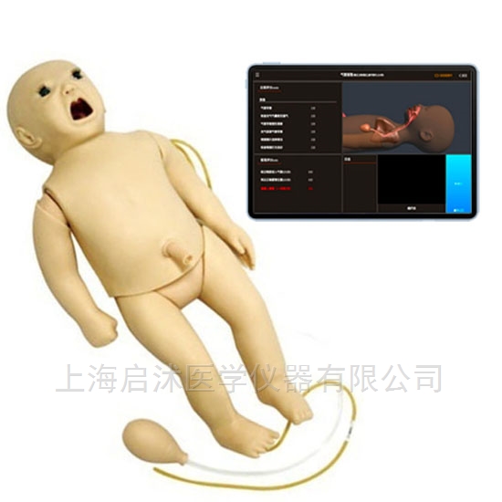 心肺復蘇模型技能訓練教學設備