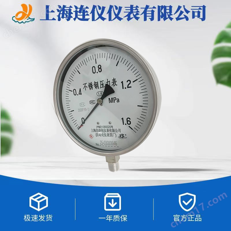 不锈钢耐震真空Y-100Z T轴向带边压力表