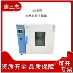 101系列電熱鼓風干燥箱  電熱恒溫烘干箱