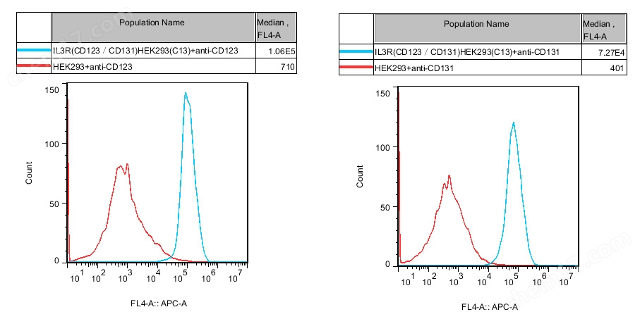IL3R(CD123/CD131) HEK293