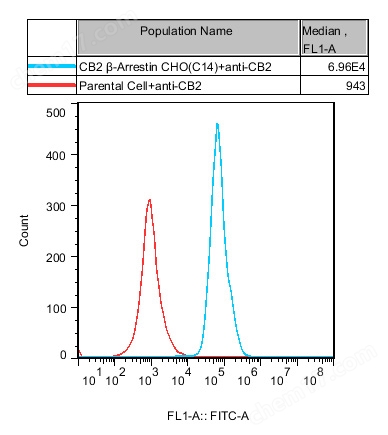 CB2 β-Arrestin CHO