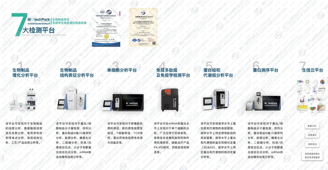 蛋白質純化與表征檢測技術服務