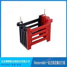 Biotides博泰斯 轉(zhuǎn)印框 4塊膠 轉(zhuǎn)印芯