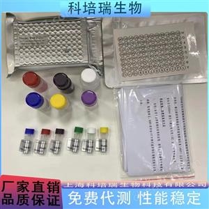 小鼠泛素特異性肽酶11(USP11)elisa試劑盒KPR-H23280