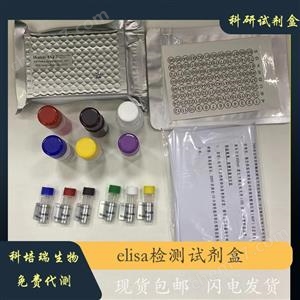 小鼠无翅型MMTV整合位点家族成员9B(WNT9B)elisa试剂盒KPR-H22238