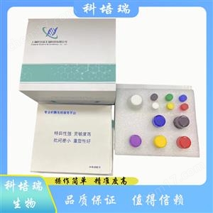 小鼠列腺素E受體2(EP2)elisa試劑盒KPR-H22718