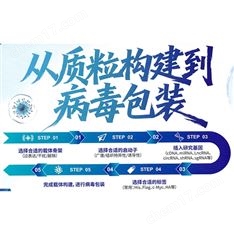 慢病毒包裝2800元起