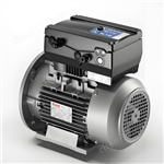 代理正品Elvem單相電機防爆電動機逆變器