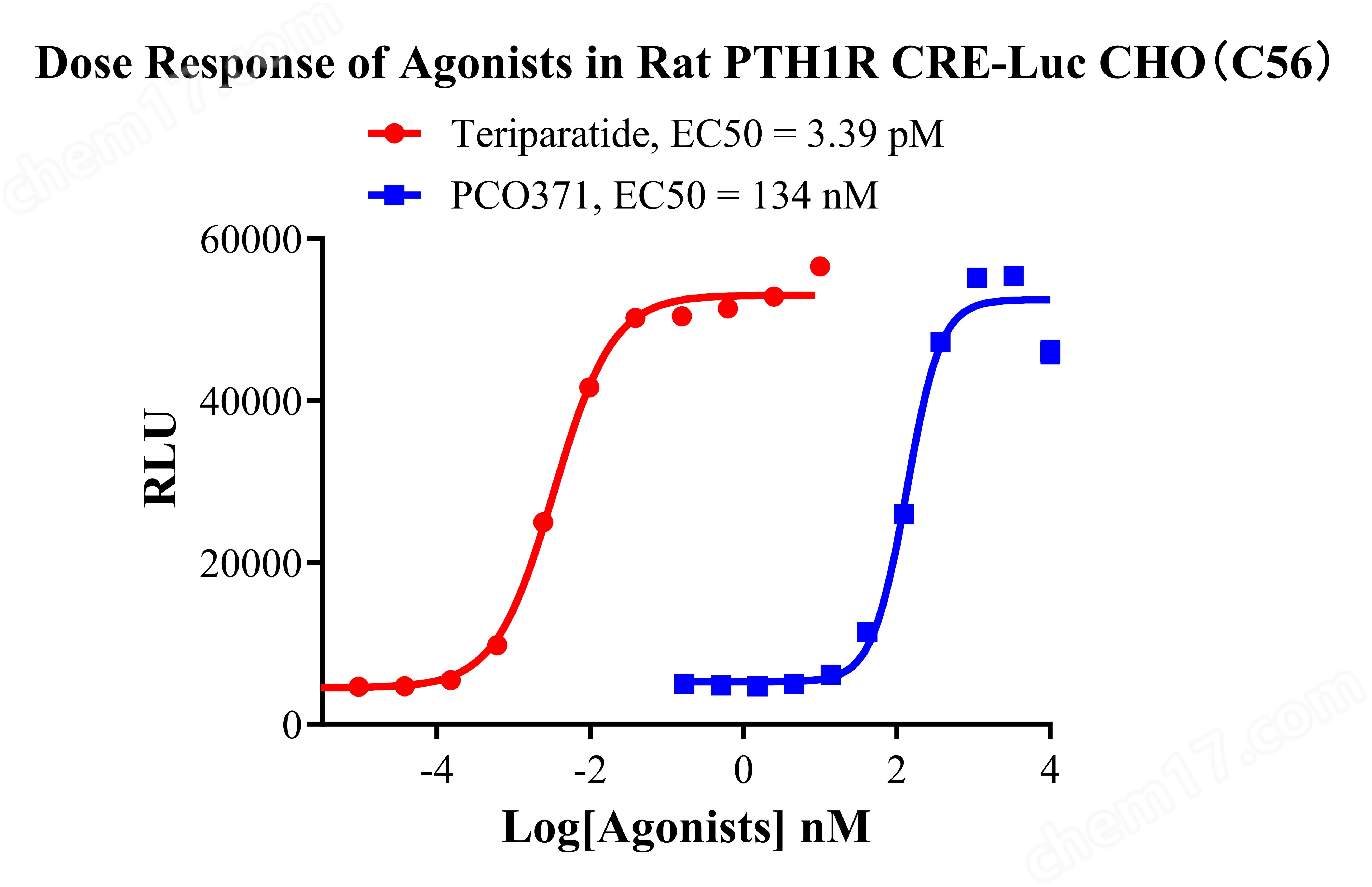 Rat PTH1R CRE-Luc CHO